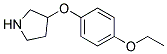 3-(4-ETHOXYPHENOXY)PYRROLIDINE Struktur