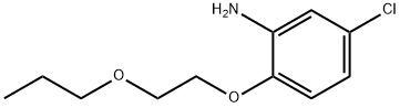 5-CHLORO-2-(2-PROPOXYETHOXY)ANILINE Struktur