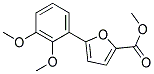 5-(2,3-DIMETHOXYPHENYL)FURAN-2-CARBOXYLIC ACID METHYL ESTER Struktur