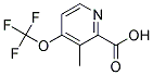 3-METHYL-4-TRIFLUOROMETHOXY-PYRIDINE-2-CARBOXYLIC ACID Struktur