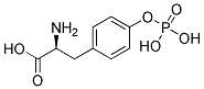 ANTI-PHOSPHOTYROSINE Struktur