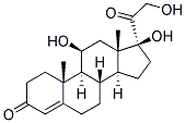 ANTI-CORTISOL BINDING GLOBULIN, HUMAN Struktur