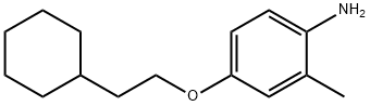 4-(2-CYCLOHEXYLETHOXY)-2-METHYLANILINE Struktur