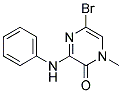 5-BROMO-1-METHYL-3-PHENYLAMINO-1H-PYRAZIN-2-ONE Struktur