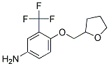 4-(TETRAHYDRO-2-FURANYLMETHOXY)-3-(TRIFLUOROMETHYL)ANILINE Struktur