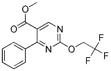 METHYL-2-(2,2,2-TRIFLUOROETHOXY)-4-PHENYL-PYRIMIDINE-5-CARBOXYLATE Struktur