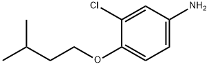 3-CHLORO-4-(ISOPENTYLOXY)ANILINE Struktur