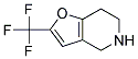 2-(TRIFLUOROMETHYL)-4,5,6,7-TETRAHYDROFURO[3,2-C]PYRIDINE Struktur