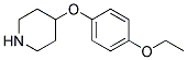 4-(4-ETHOXYPHENOXY)PIPERIDINE Struktur