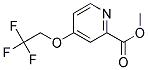 4-(2,2,2-TRIFLUORO-ETHOXY)-PYRIDINE-2-CARBOXYLIC ACID METHYL ESTER Struktur