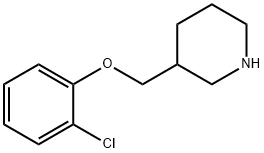 3-[(2-CHLOROPHENOXY)METHYL]PIPERIDINE Struktur