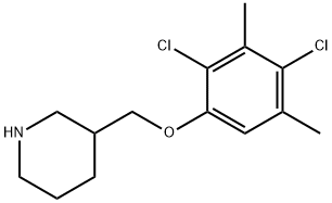 3-[(2,4-DICHLORO-3,5-DIMETHYLPHENOXY)METHYL]-PIPERIDINE Struktur