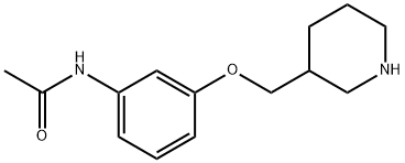 N-[3-(3-PIPERIDINYLMETHOXY)PHENYL]ACETAMIDE Struktur