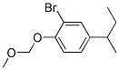 4-SEC-BUTYL-2-BROMO-1-(METHOXYMETHOXY)BENZENE Struktur