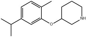 3-(5-ISOPROPYL-2-METHYLPHENOXY)PIPERIDINE Struktur