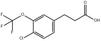 3-[4-CHLORO-3-(TRIFLUOROMETHOXY)PHENYL]PROPIONIC ACID Struktur