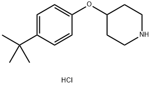 4-[4-(TERT-BUTYL)PHENOXY]PIPERIDINE Struktur