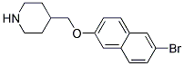 4-([(6-BROMO-2-NAPHTHYL)OXY]METHYL)PIPERIDINE Struktur