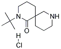 2-TERT-BUTYL-2,8-DIAZASPIRO[5.5]UNDECAN-1-ONE HYDROCHLORIDE Struktur