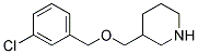 3-([(3-CHLOROBENZYL)OXY]METHYL)PIPERIDINE Struktur