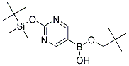 2-(TERT-BUTYLDIMETHYLSILYLOXY)PYRIMIDINE-5-BORONIC ACID NEOPENTYL ESTER Struktur