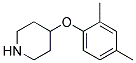 4-(2,4-DIMETHYLPHENOXY)PIPERIDINE Struktur