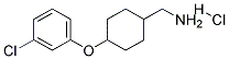 [4-(3-CHLORO-PHENOXY)-CYCLOHEXYL]-METHYL-AMINE HYDROCHLORIDE Struktur