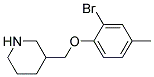 3-[(2-BROMO-4-METHYLPHENOXY)METHYL]PIPERIDINE Struktur