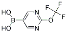 [2-(TRIFLUOROMETHOXY)PYRIMIDIN-5-YL]BORONIC ACID Struktur