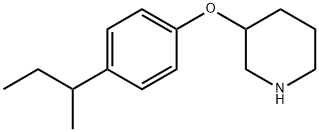 3-[4-(SEC-BUTYL)PHENOXY]PIPERIDINE Struktur