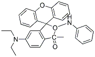 2-PHENYLAMINO-3-METHYL-6-DIETHYLAMINOFLUORAN Struktur