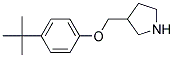 4-(TERT-BUTYL)PHENYL 3-PYRROLIDINYLMETHYL ETHER Struktur