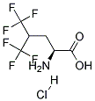 5,5,5,5',5',5'-HEXAFLUOROLEUCINE HYDROCHLORIDE Struktur