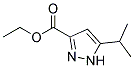 ETHYL 5-ISOPROPYLPYRAZOLE-3-CARBOXYLATE Struktur