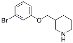 3-[(3-BROMOPHENOXY)METHYL]PIPERIDINE Struktur