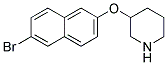 3-[(6-BROMO-2-NAPHTHYL)OXY]PIPERIDINE Struktur