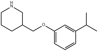 3-[(3-ISOPROPYLPHENOXY)METHYL]PIPERIDINE Struktur