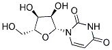 ANTI-URIDINE Struktur