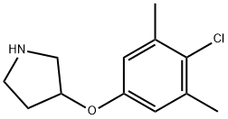 3-(4-CHLORO-3,5-DIMETHYLPHENOXY)PYRROLIDINE Struktur