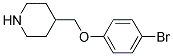 4-[(4-BROMOPHENOXY)METHYL]PIPERIDINE Struktur