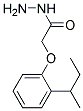 (2-SEC-BUTYL-PHENOXY)-ACETIC ACID HYDRAZIDE Struktur