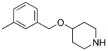 4-[(3-METHYLBENZYL)OXY]PIPERIDINE Struktur