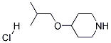 4-ISOBUTOXY-PIPERIDINE HYDROCHLORIDE Struktur