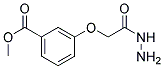 METHYL 3-(2-HYDRAZINO-2-OXOETHOXY)BENZOATE Struktur