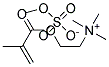 METHACRYLOYLCHOLINE METHYL SULFATE, 40% SOLN. IN WATER Struktur