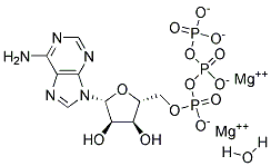 Adenosine 5'-triphosphate magnesium salt hyddrate
 Struktur