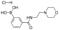 3-[(2-Morpholin-4-ylethyl)carbamoyl]benzeneboronic acid hydrochloride Struktur