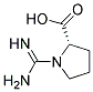 AMIDINOPROLINE Struktur