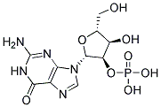 Guanosine-2'-Monophosphate Struktur