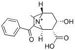 BenzoylecgonineDerivative Struktur